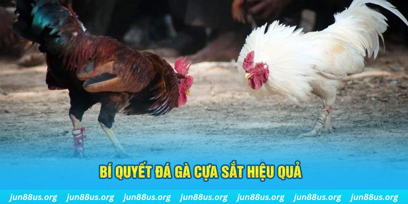 ok vip nổ hũ may mắn