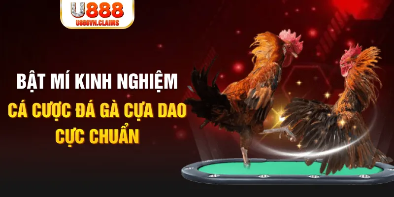 ok vip casino hồ tràm có cho người việt vào không