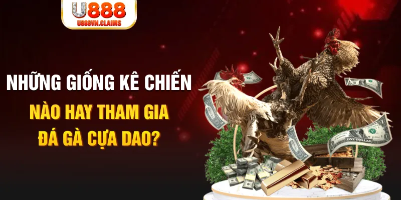 ok vip BG Trực Tuyến