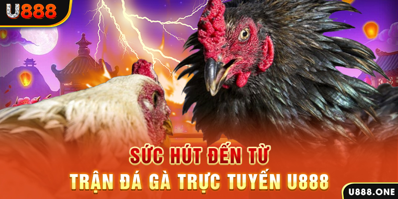 ok vip đăng nhập poker 2024