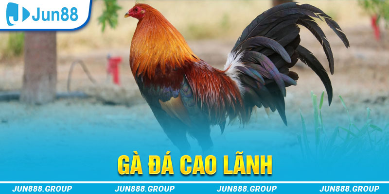 ok vip tai game vua bai ve may tinh