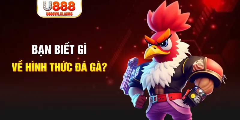 ok vip đăng nhập liêng tặng tiền