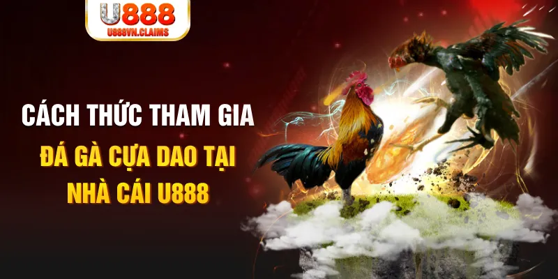 đá gà 88.com
