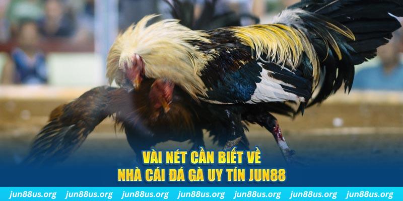 ok vip Jones Chuối