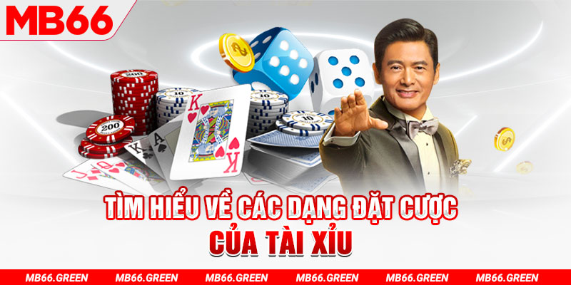 ok vip what is a casino loyalty program