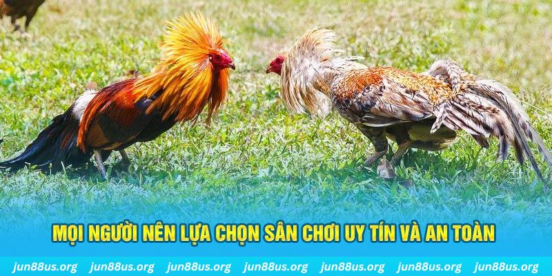 ok vip đăng nhập poker 2025