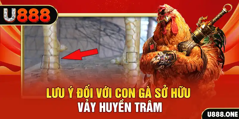 ok vip tải game đánh bài tiến lên miền nam về máy tính
