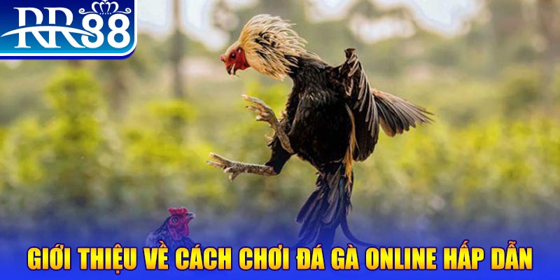 ok vip bắn cá h5 là gì