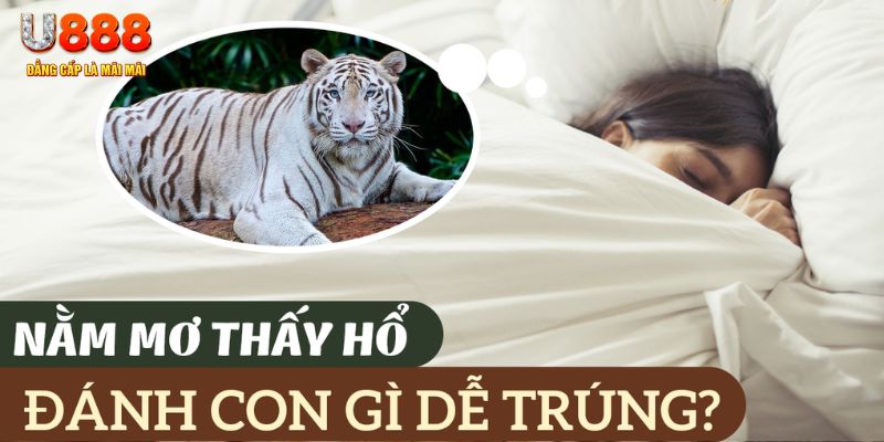 ok vip nohu .mx nổ hủ là gì