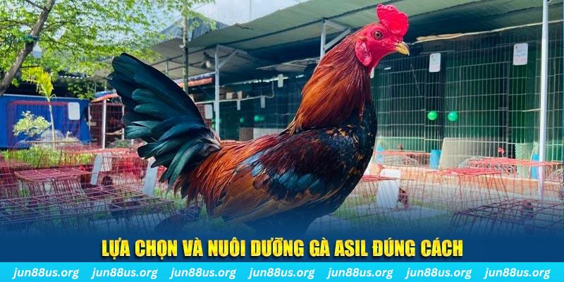ok vip nổ hũ thần tài là gì