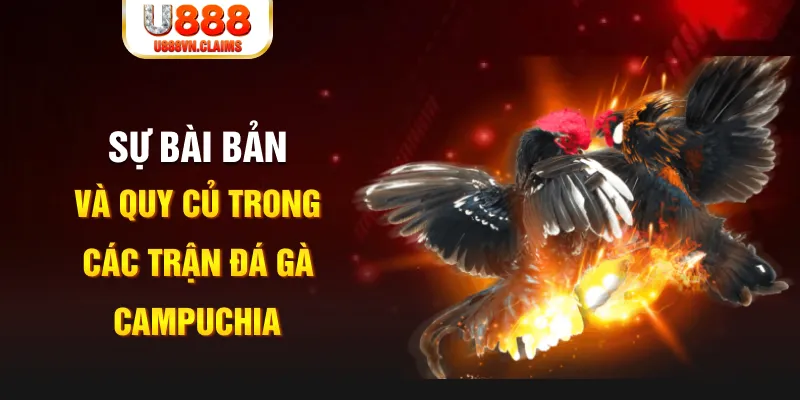 ok vip game xếp bài trên máy tính