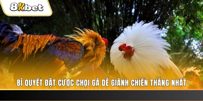 ok vip nổ hũ chơi như thế nào