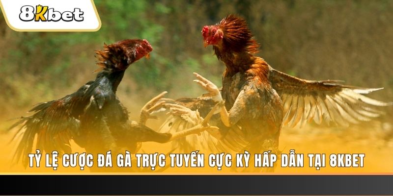 ok vip xổ số miền bắc chủ nhật