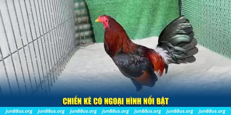 ok vip qq88 bắn cá
