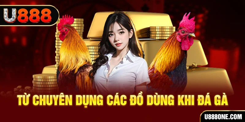 đăng nhập poker trực tiếp