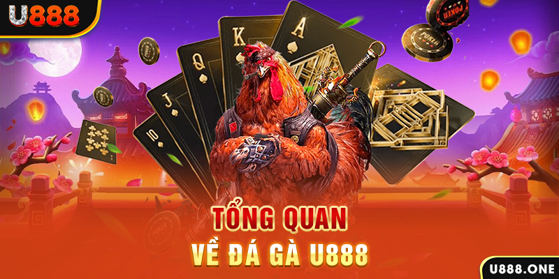 ok vip xổ số vietlott